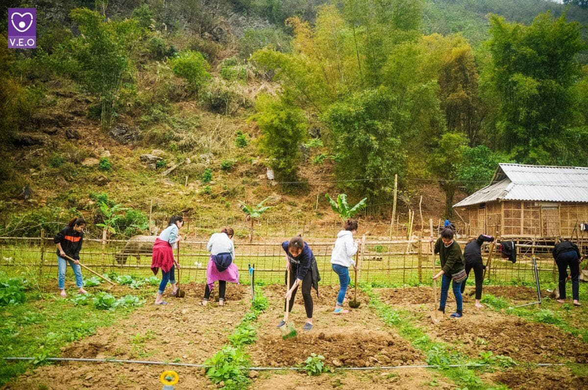 Chứng nhận tình nguyện